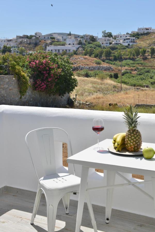 Naxian Album Villa Kaliope With Private Pool In Naxos Glinado Naxos Екстер'єр фото